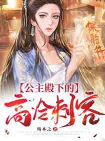 公主殿下的高冷刺客