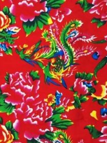 穿越成炮灰：老子要抱反派大腿