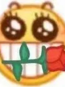极皓：迷雾