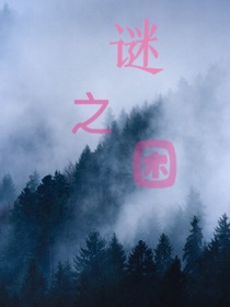 谜之困