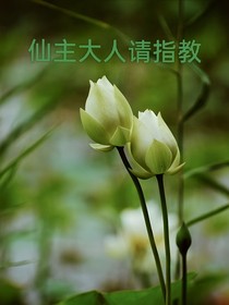 仙主大人請指教