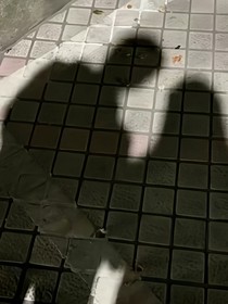 念念向扬