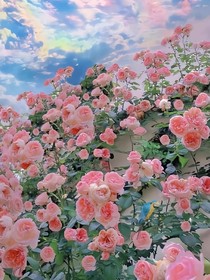 始于夏至终于夏至