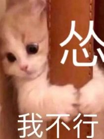 吴韬