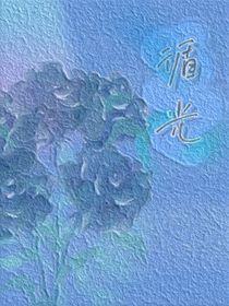 循光0721
