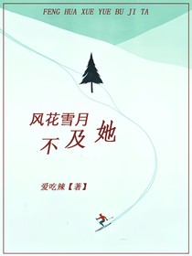 風(fēng)花雪月不及她