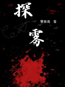 探雾