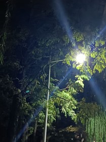 忧夏叹云惊