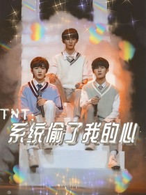 TNT：系统偷了我的心