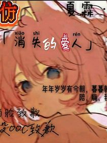 斗龙之消失的爱人