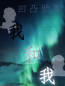 凹凸世界之我和我