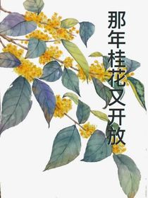 那年桂花又开放