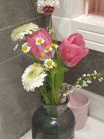 潇潇风雨，涩涩青春