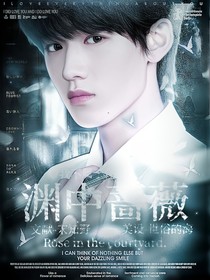 TNT：渊中蔷薇