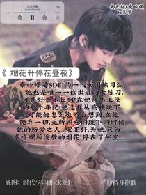烟花升停在昼夜
