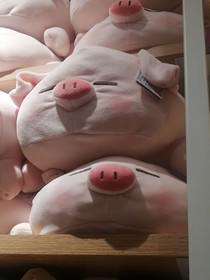 我們真的沒關系