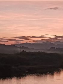 那个盛夏，我与你