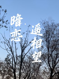 暗恋：遥相望