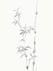 师傅，徒儿我只想摆烂