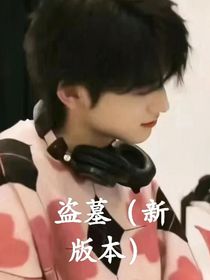 盗墓（新版本）