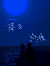 落日归雁