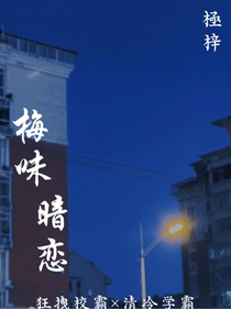 梅味暗恋
