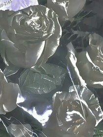 马桶盖文案馆