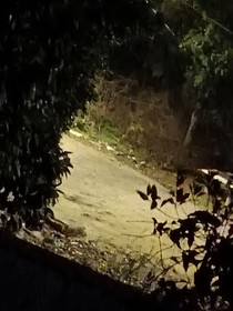 我回來愛你了