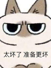 星学院之梦启年华