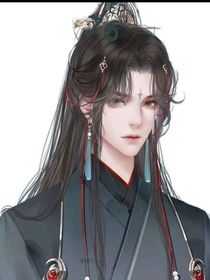 暗魔大人穿书日记