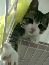记我，