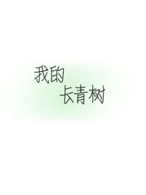 我的长青树