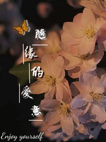 隨緣的愛意