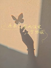 原来已有天注定