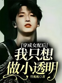穿成女配后我只想做小透明-d615