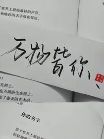 白玉兰未开