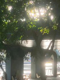 好看的男孩子是另一个自己