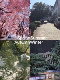 静等花开……