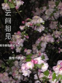 云間相見