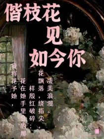 偕枝花见如今你