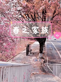 四季之國——之春之家族