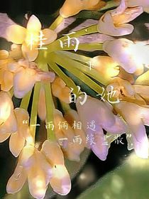 桂雨下的她