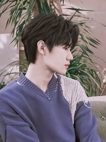 张真源的好奇