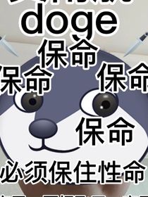 12345678900987654321a