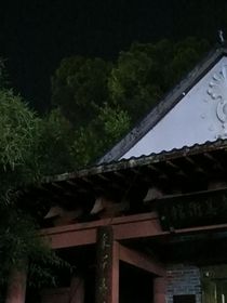 我家那些年的狗血故事