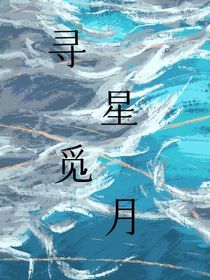 尋星覓月