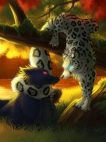孤独的猎豹