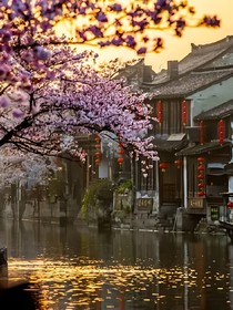 鳳凰神君的逍遙日常