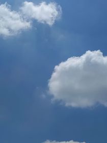 暗恋是橘子味的-d061