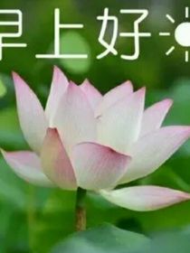 只認(rèn)信息素